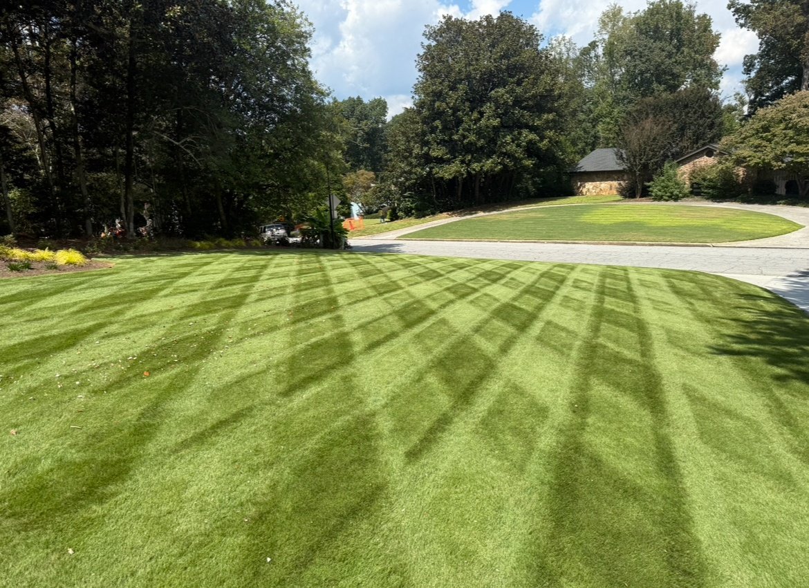 Front lawn mowed in a crisp crosshatch stripe pattern