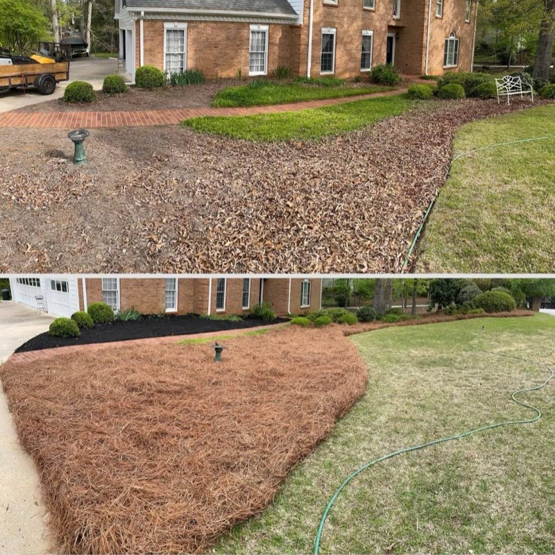Front-yard beds before and after fresh pine straw and mulch